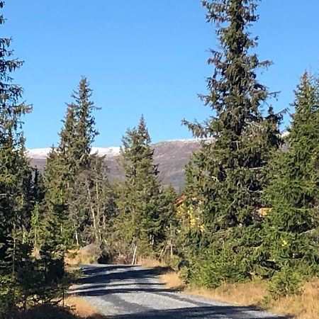 Sykkelhytte Ved Slatten I Synnfjellet Nord Torpa Ngoại thất bức ảnh