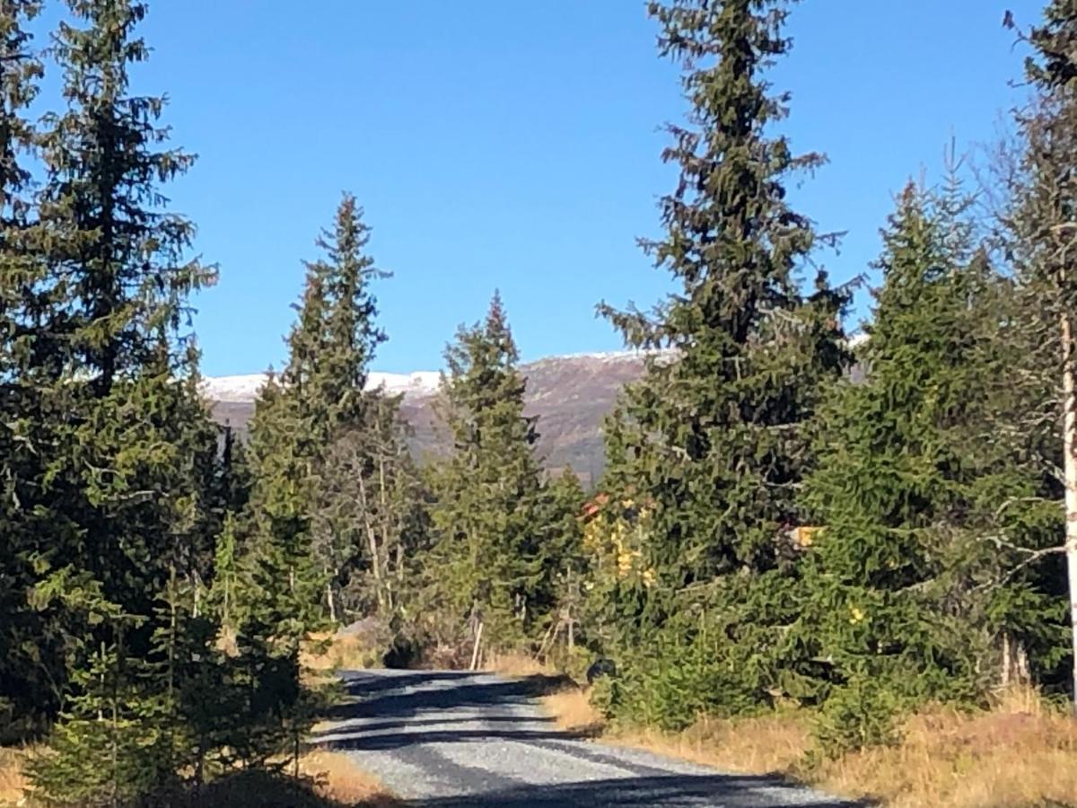 Sykkelhytte Ved Slatten I Synnfjellet Nord Torpa Ngoại thất bức ảnh
